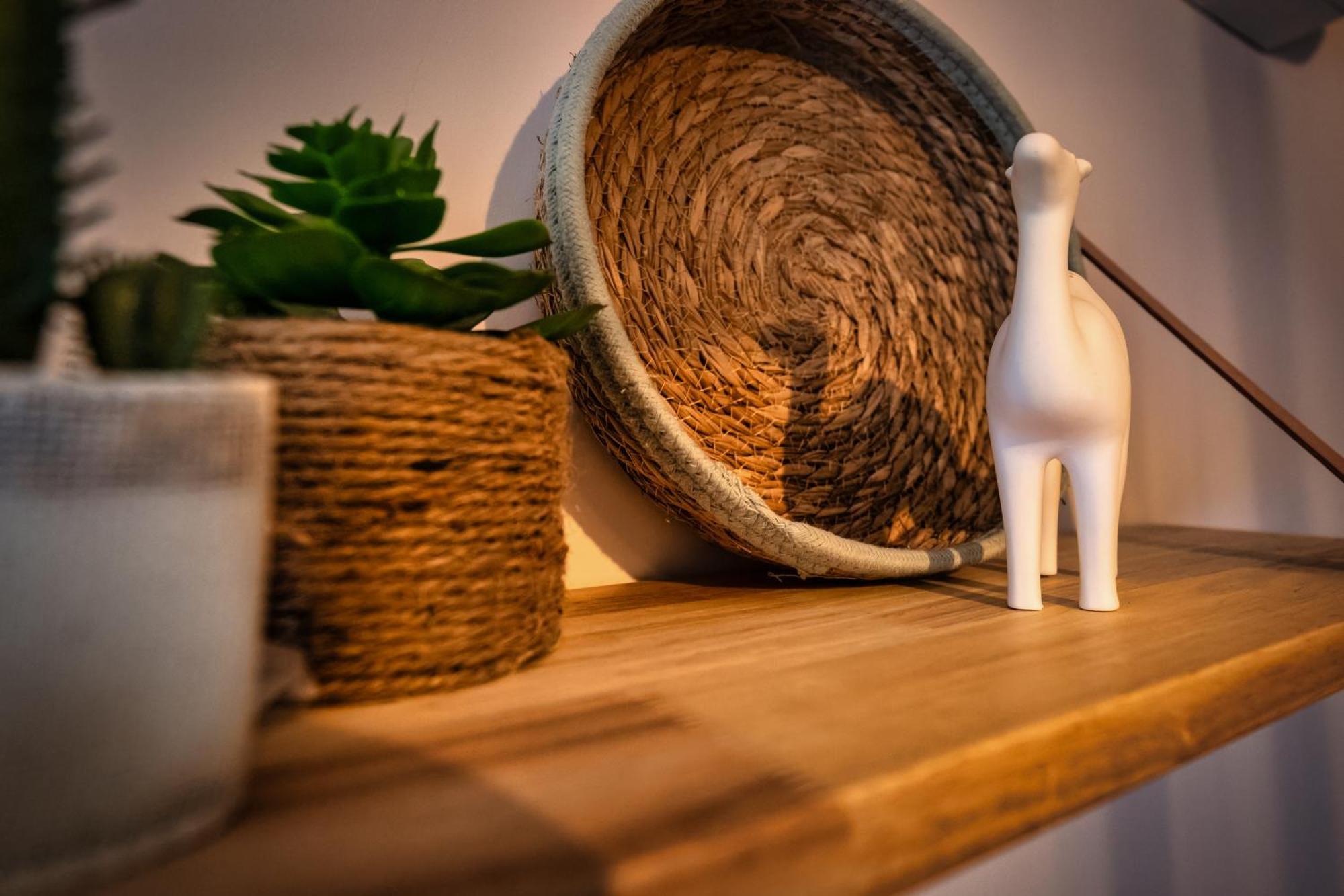 Magic Surf House Apartment ลากาโน ภายนอก รูปภาพ